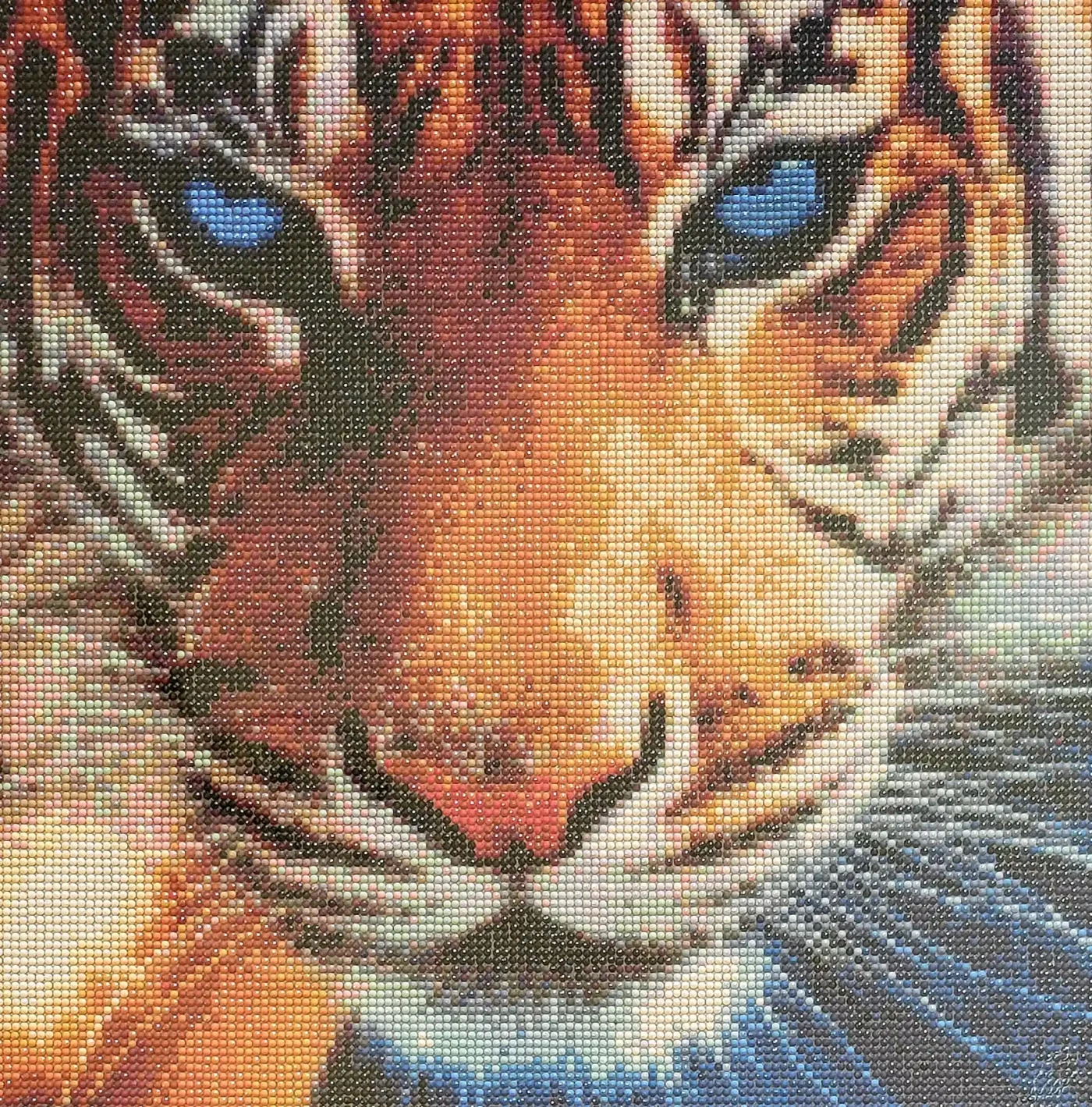 Tiger - Artwork