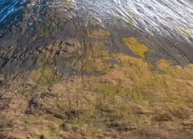 Scottish Fuji