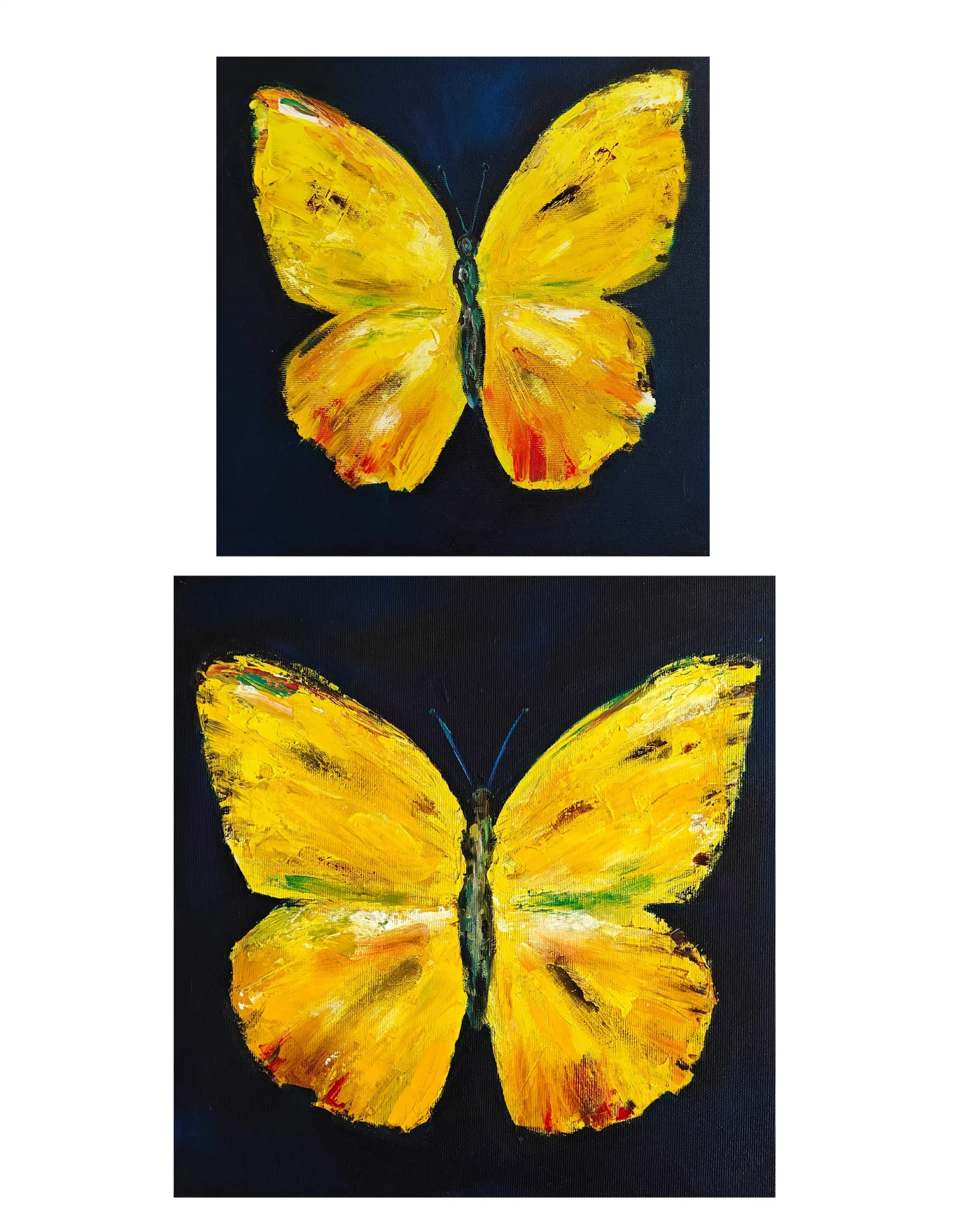 Featured image of Butterfly Diptych
