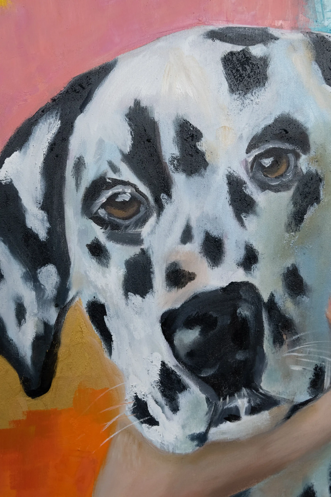 Dalmatian dog