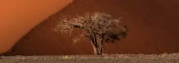 Endurance