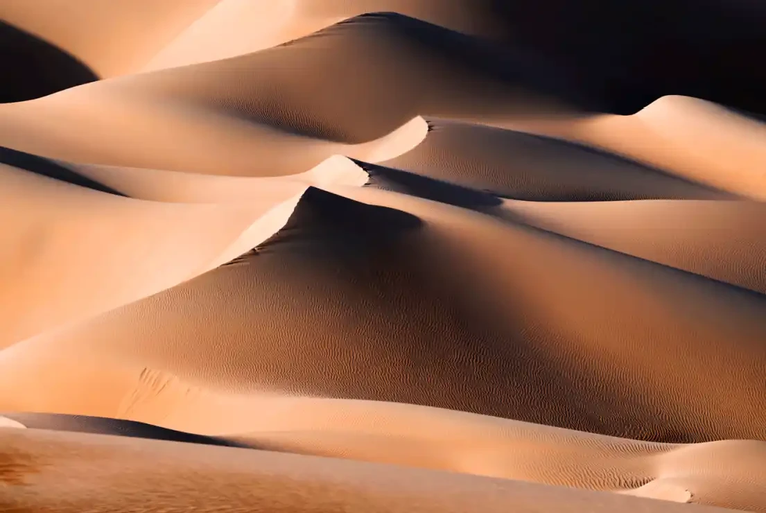 Featured image of DESERT WAVES
