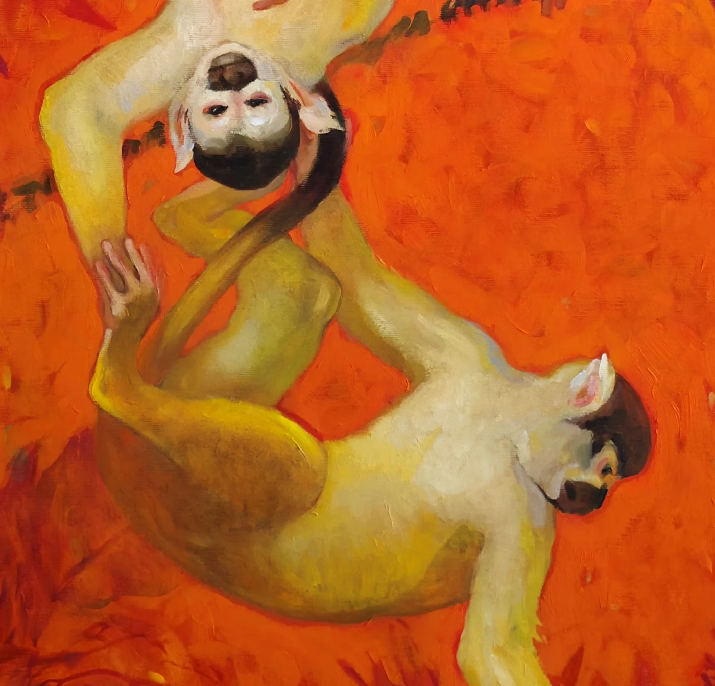 Monkeys Everywhere - The Dance of Instinct