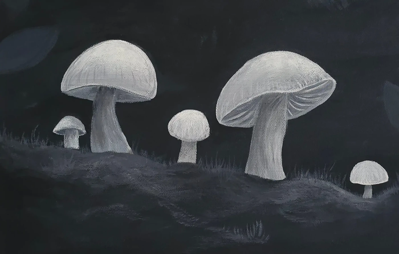 Mushroom Monochrome – Natural Calm