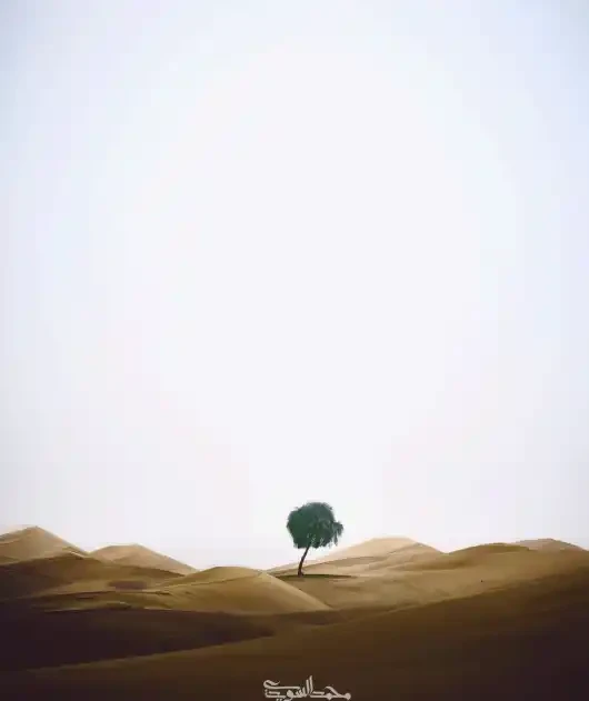 Standing strong