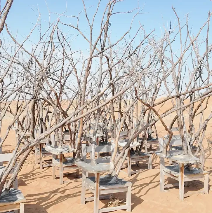 Featured image of Desert Classroom of Nature