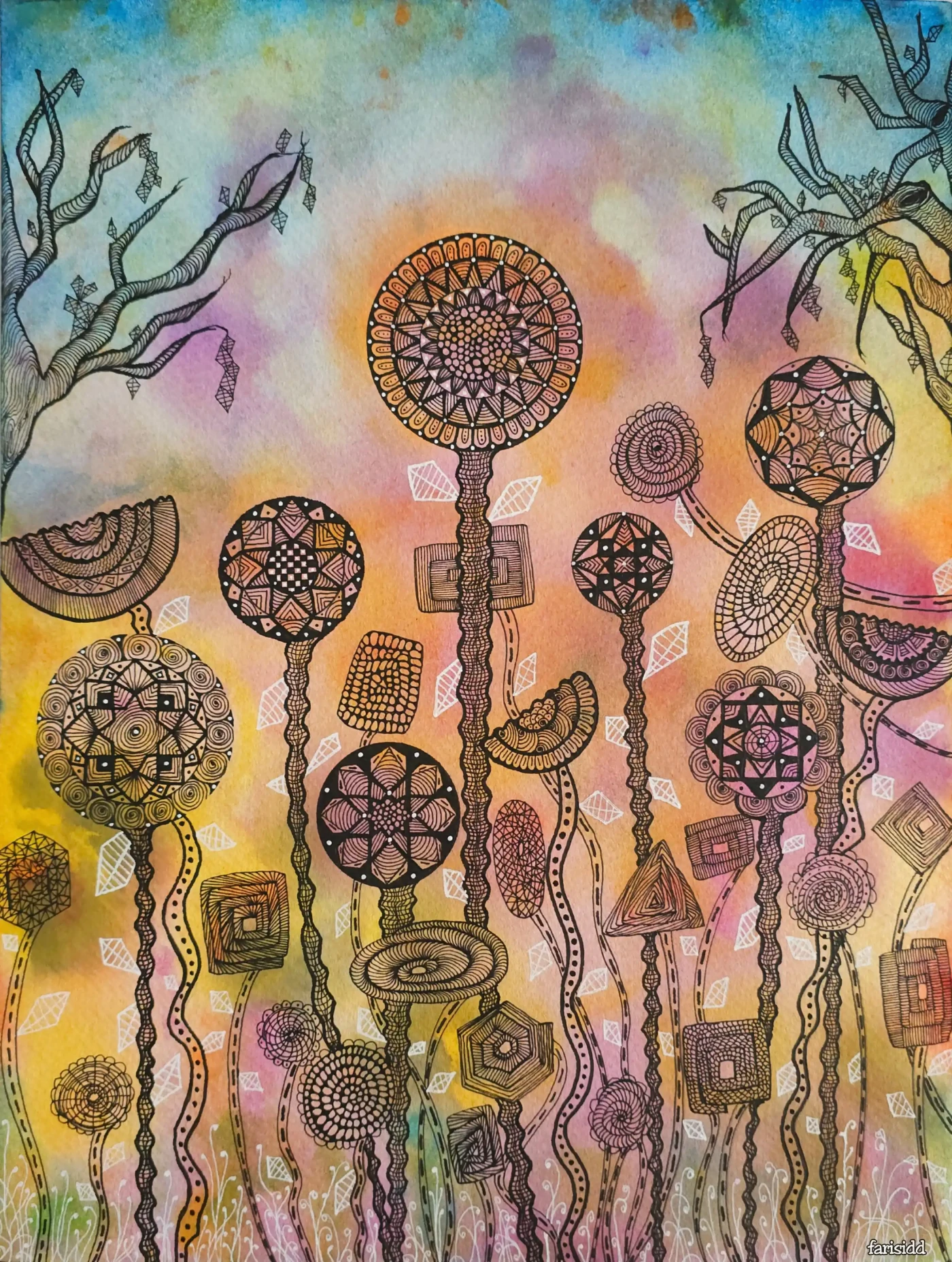 Featured image of Geometric Garden