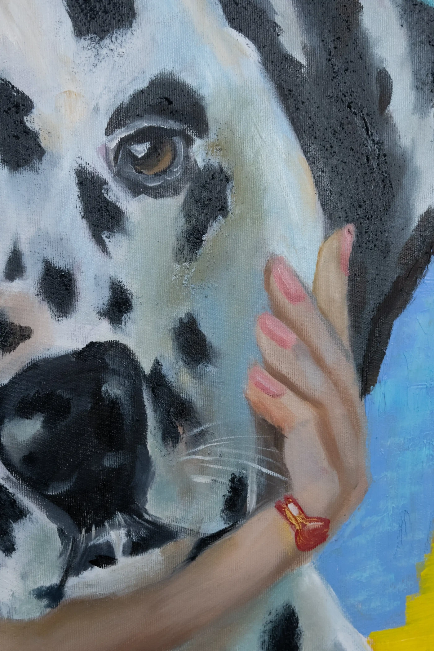 Dalmatian dog