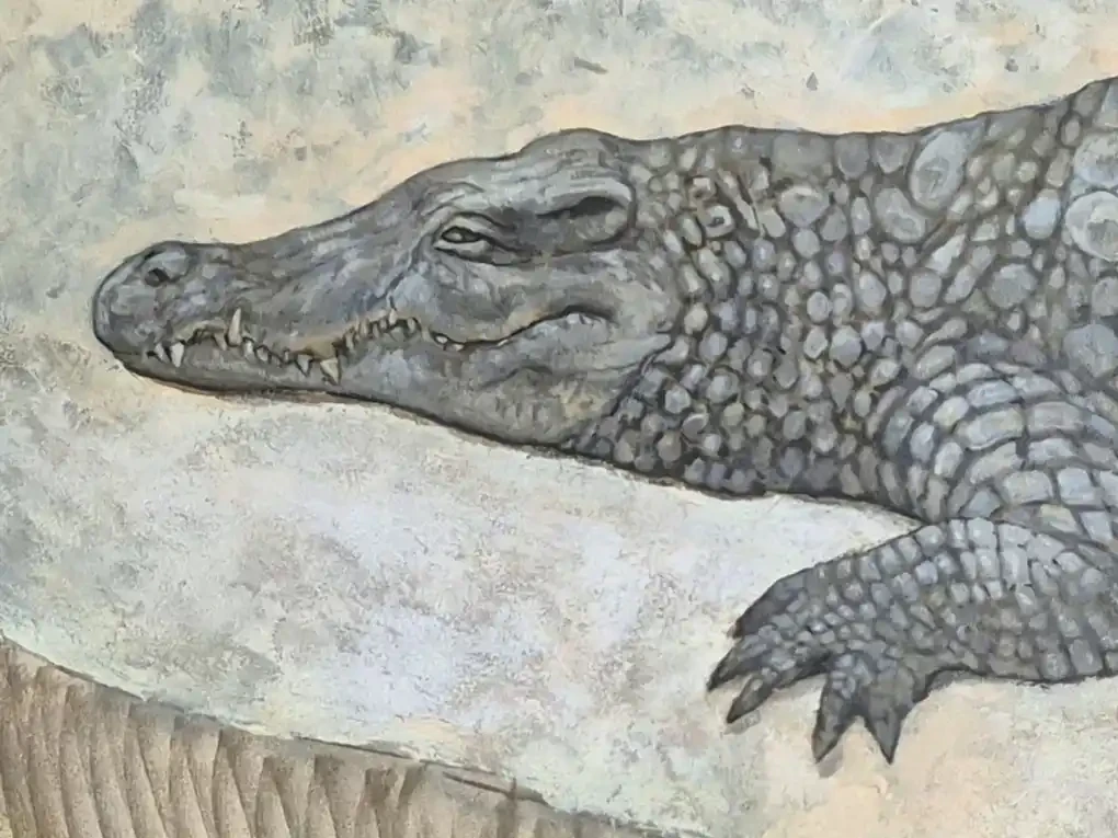 Crocodile