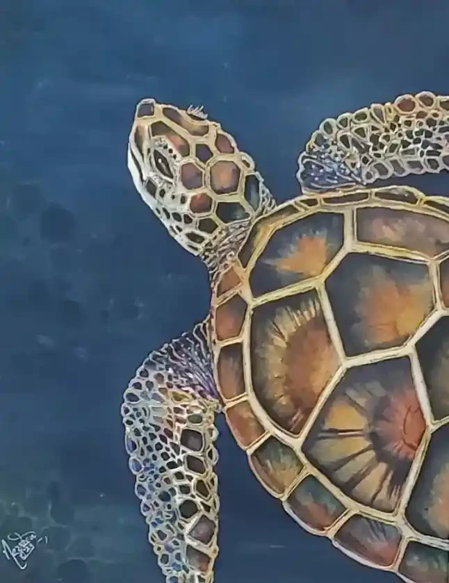 Ascend – Sea Turtle Watercolor Artwork