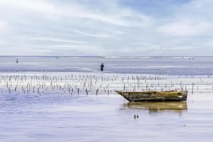 Low Tide