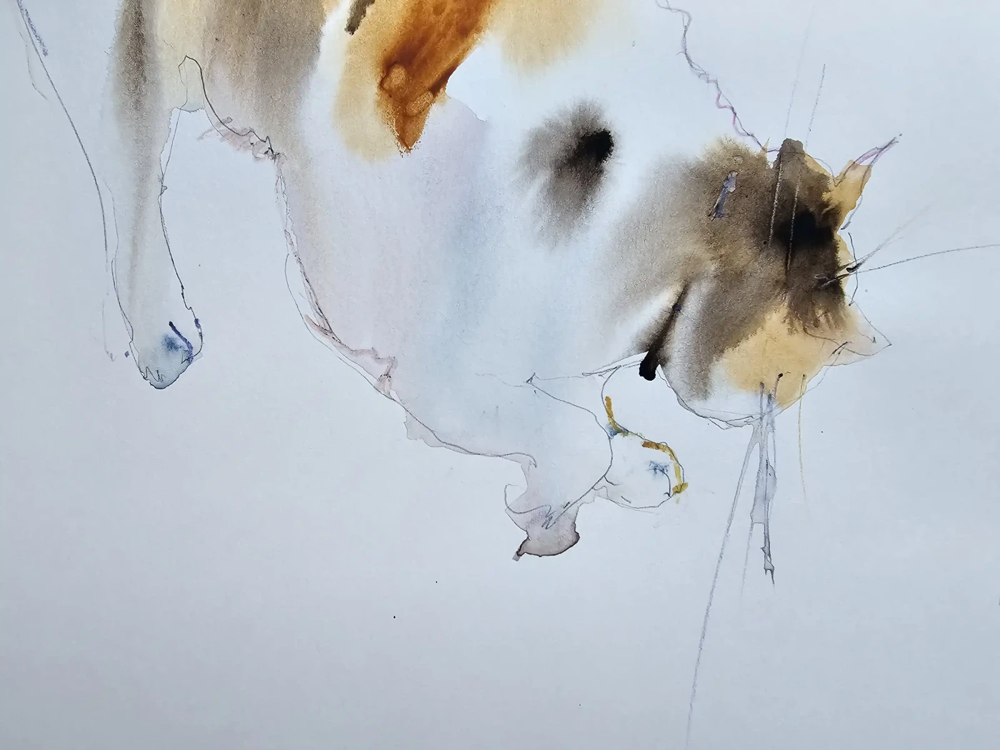 Playful Cats - Whimsical Illustration