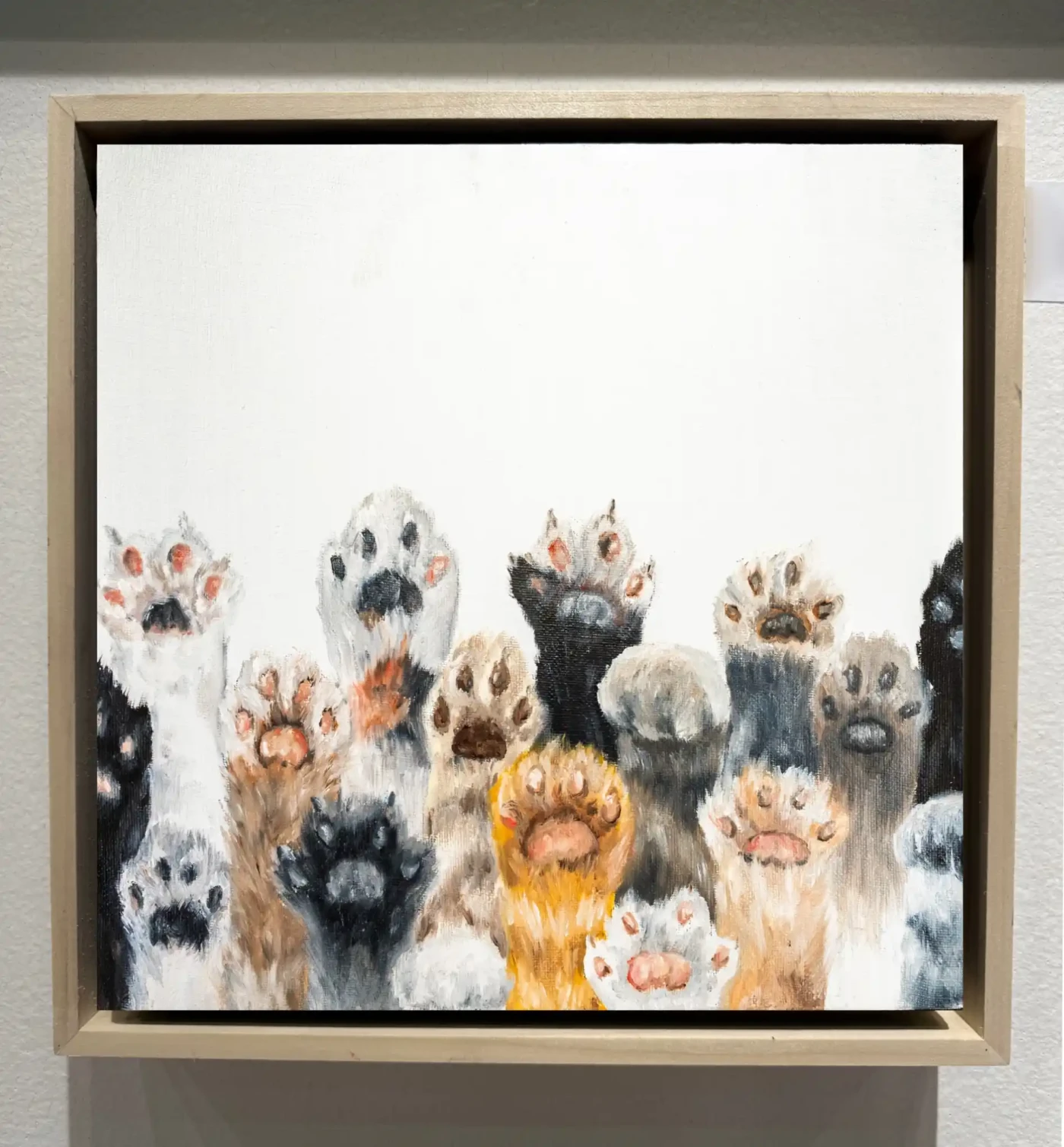 Featured image of Paws