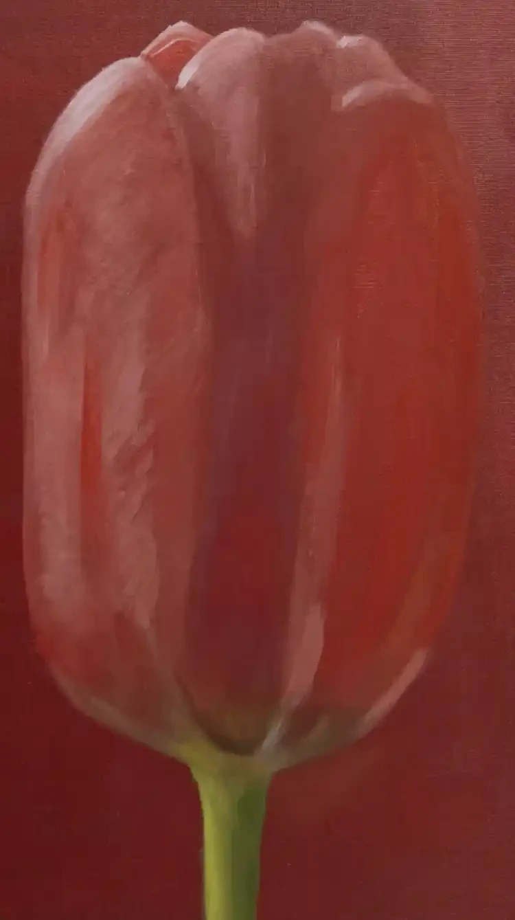 Red Tulip