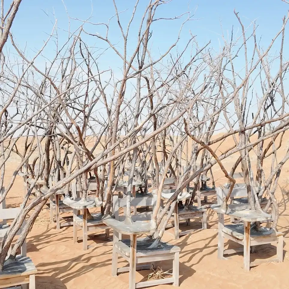 Desert Classroom of Nature