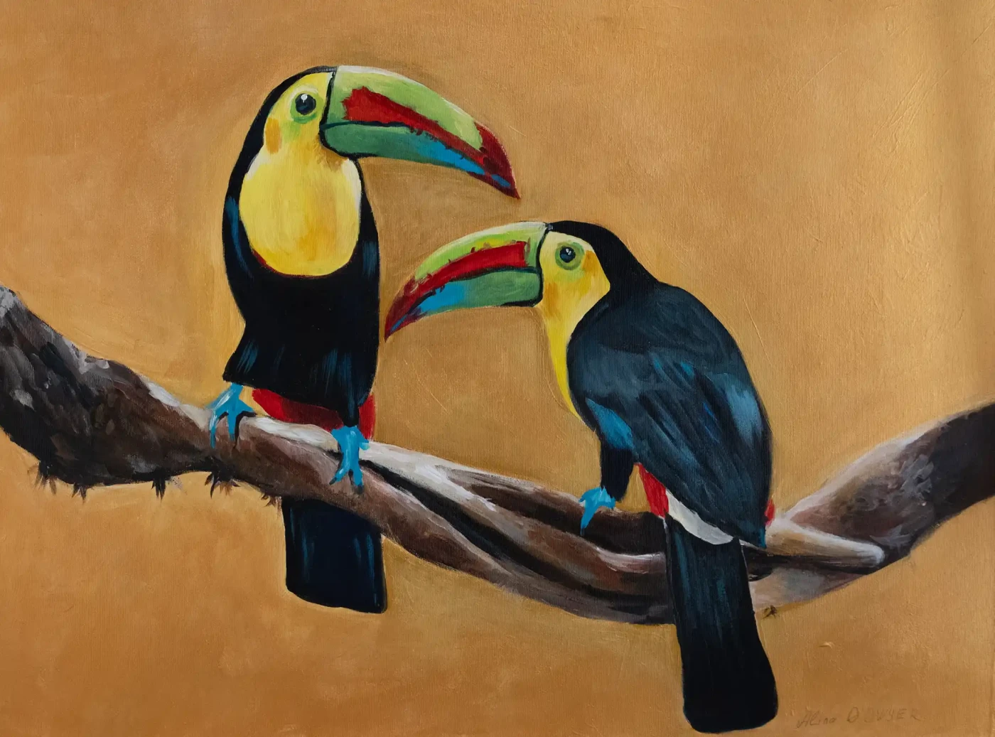 Featured image of Toucans - Artwork