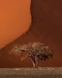 Endurance