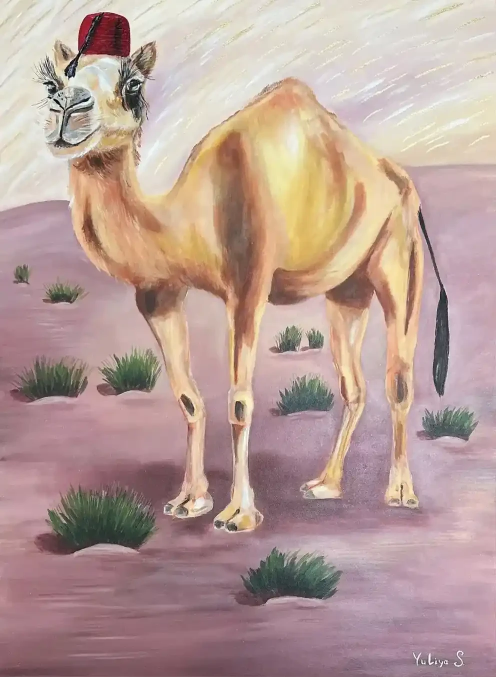 Featured image of Camel - Artwork