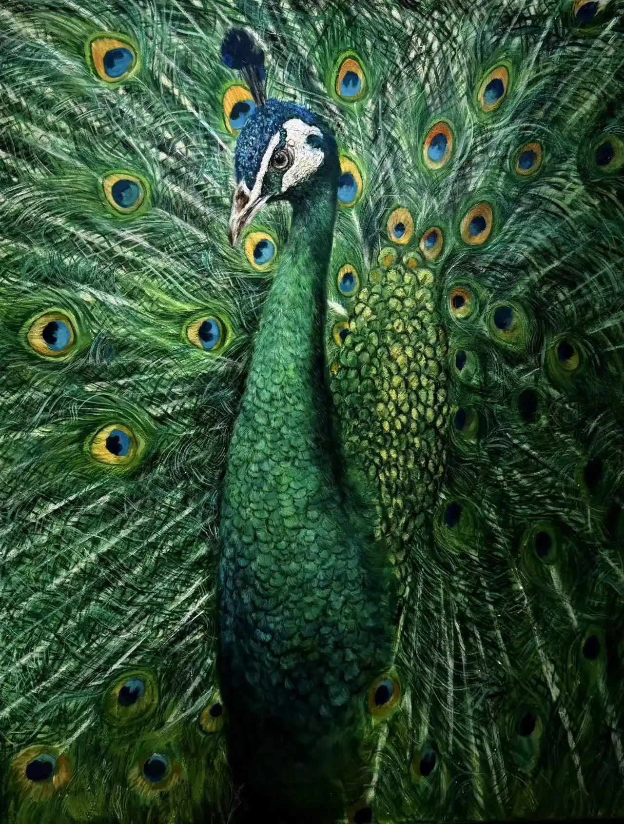Featured image of Green Peacock