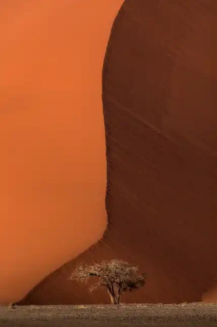 Endurance