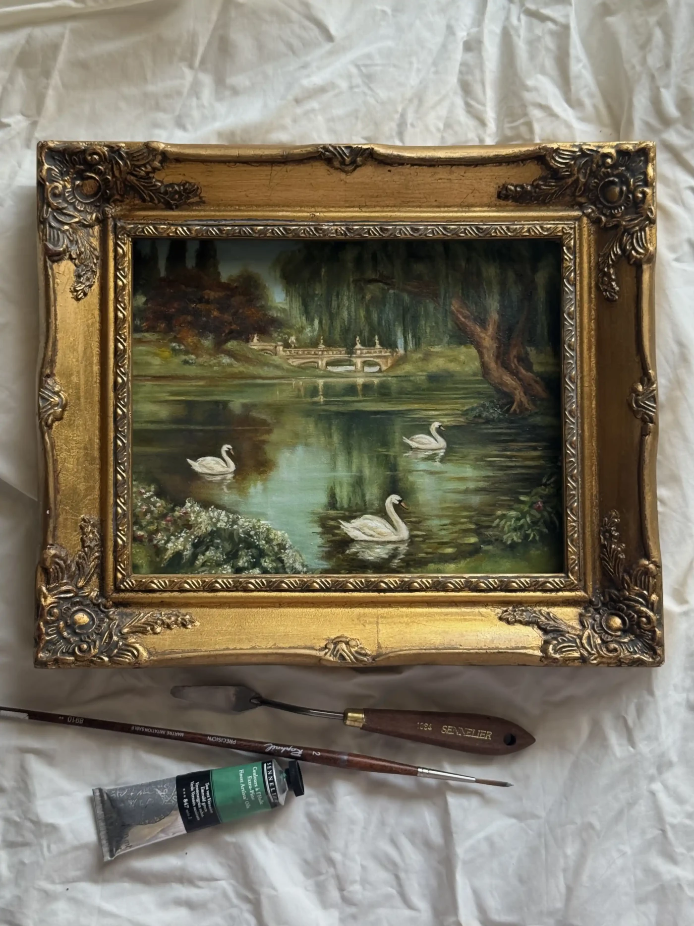 Featured image of A Swan’s Reverie