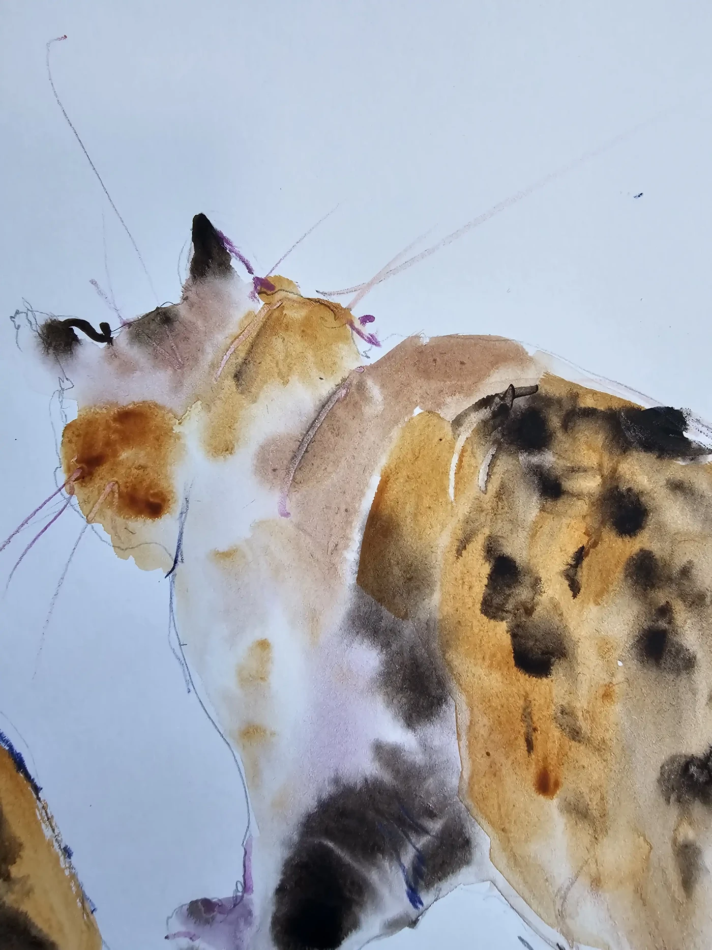 Playful Cats - Whimsical Illustration