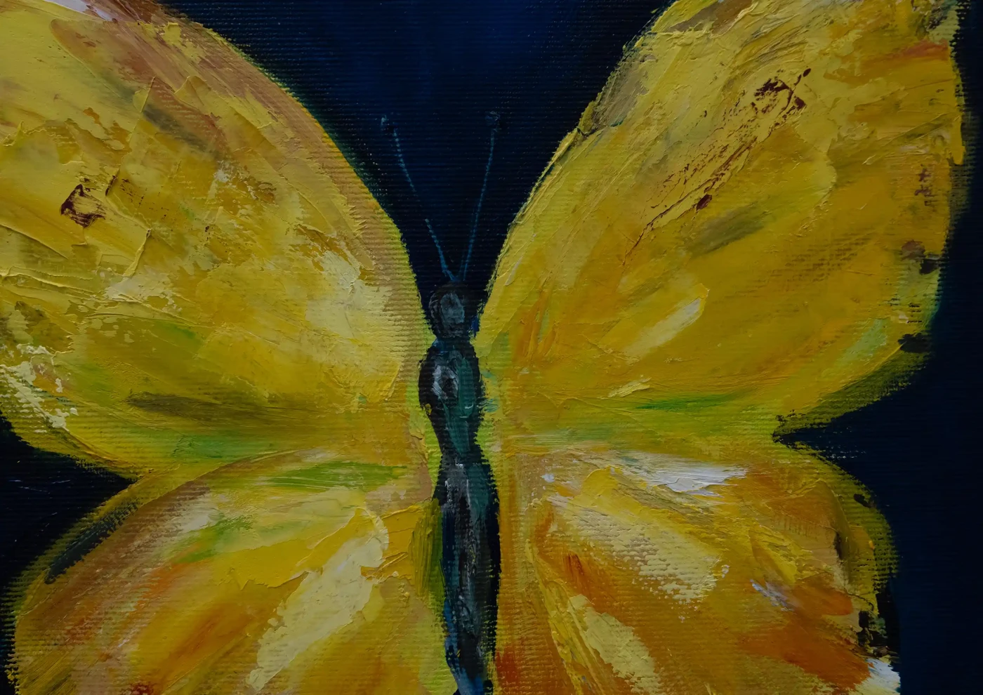 Yellow Butterfly