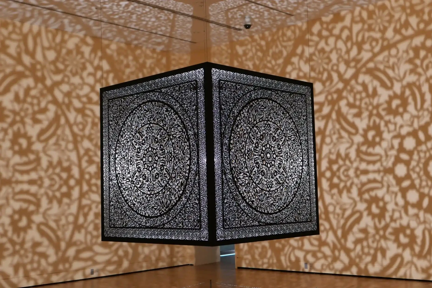The Dance of Light & Shadow