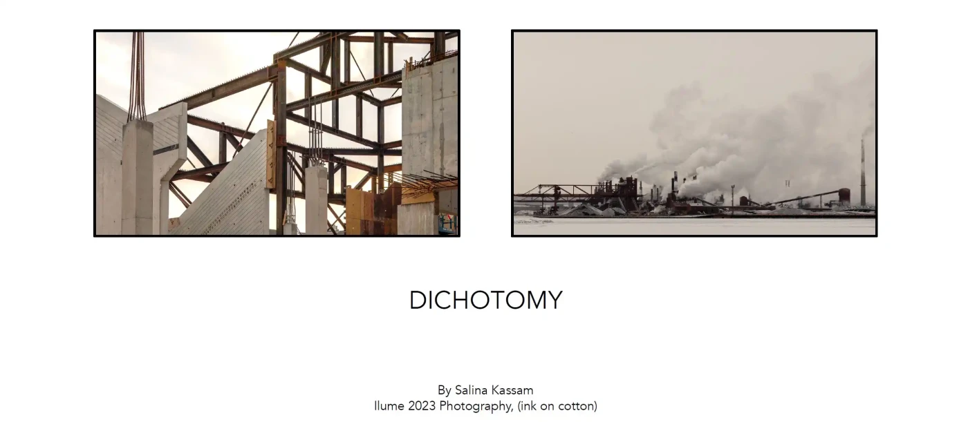 Dichotomy