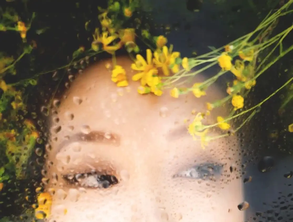 Memoir of Geisha