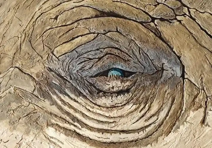 Embrace of resilience