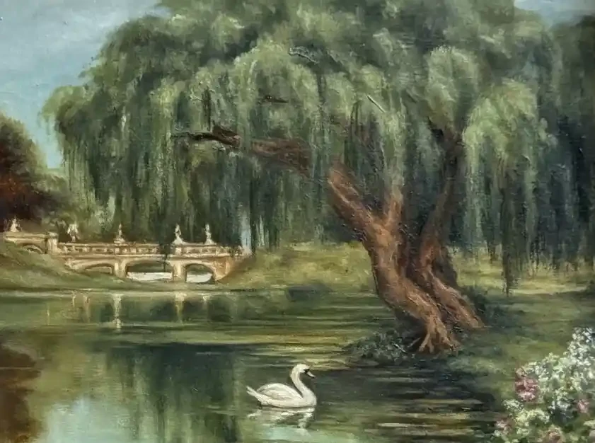Featured image of A Swan’s Reverie