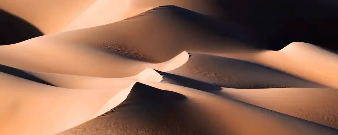 DESERT WAVES