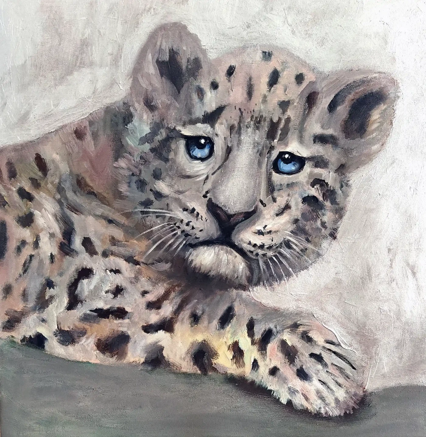 Featured image of Snow leopard