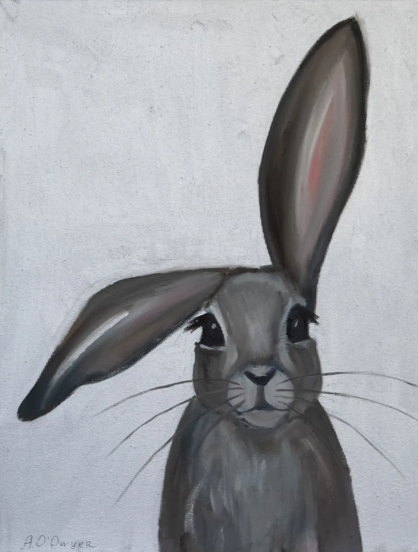 Featured image of Silver rabbit