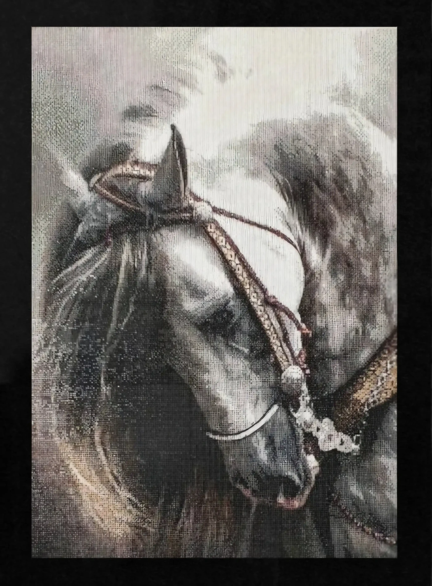 Featured image of Horse