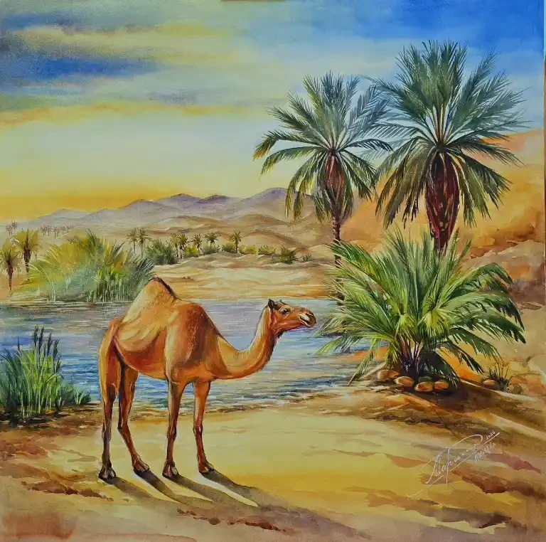 Featured image of "Oasis"