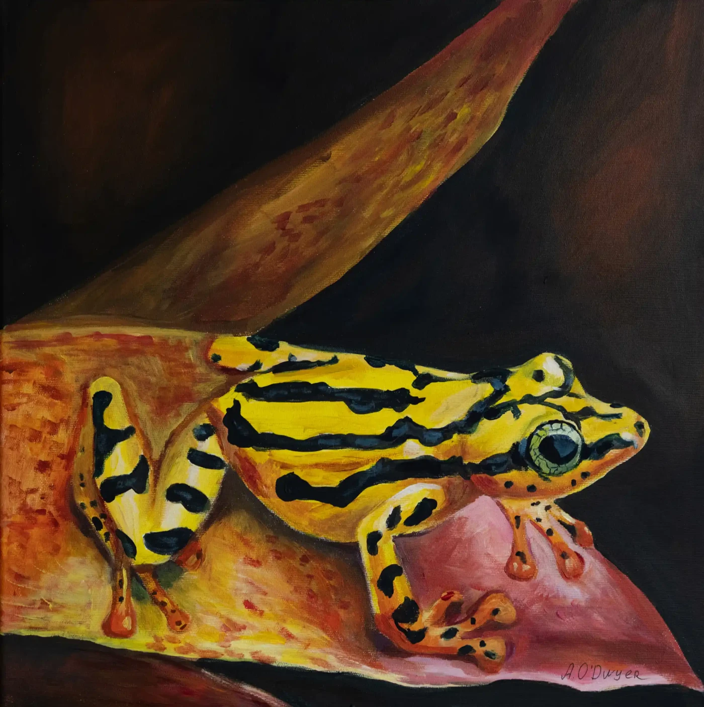 Featured image of Yellow Tree Frog - Artwork