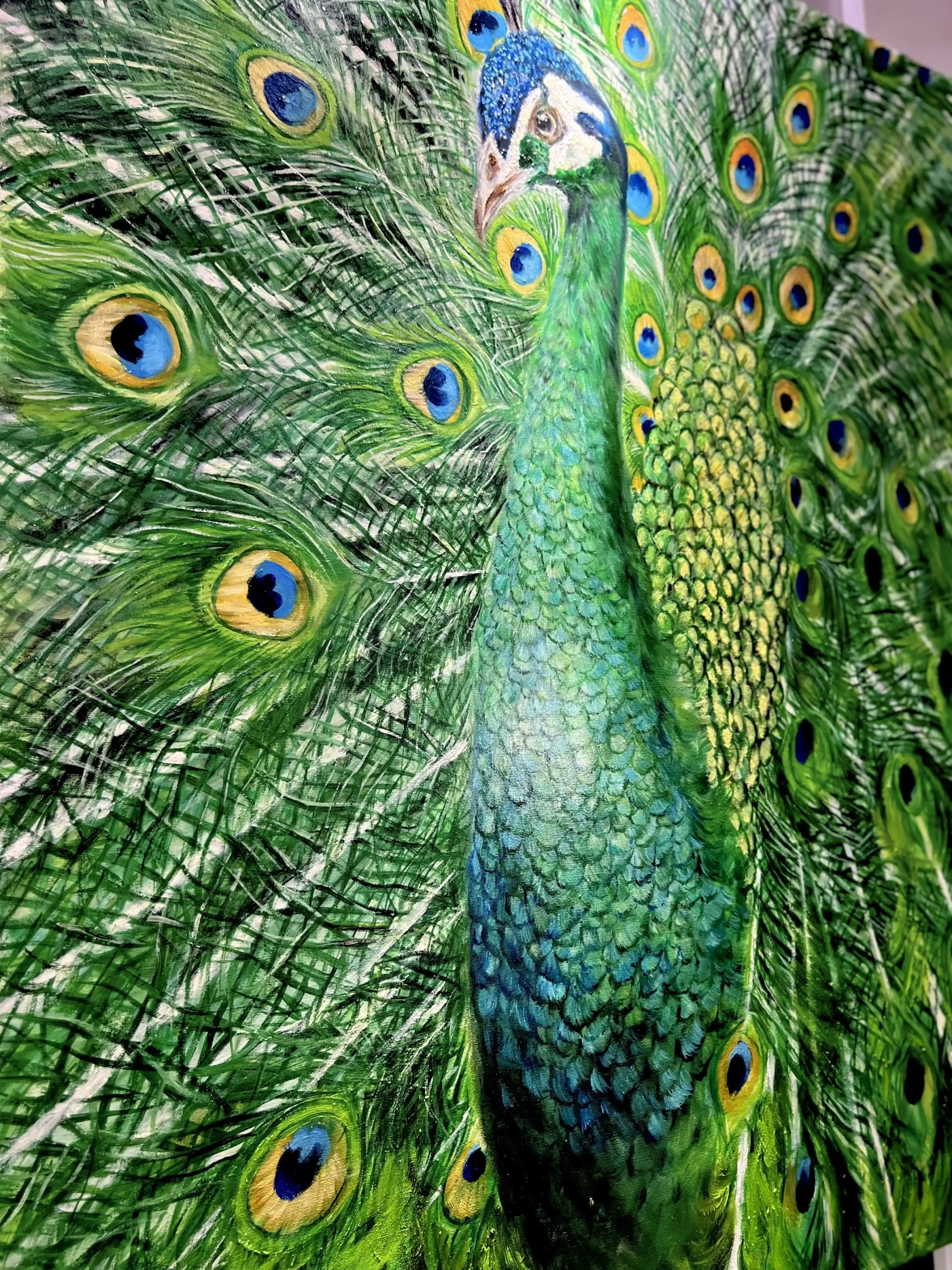 Green Peacock