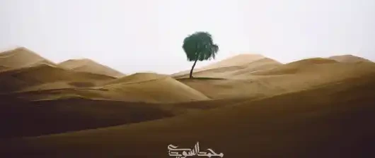 Standing strong