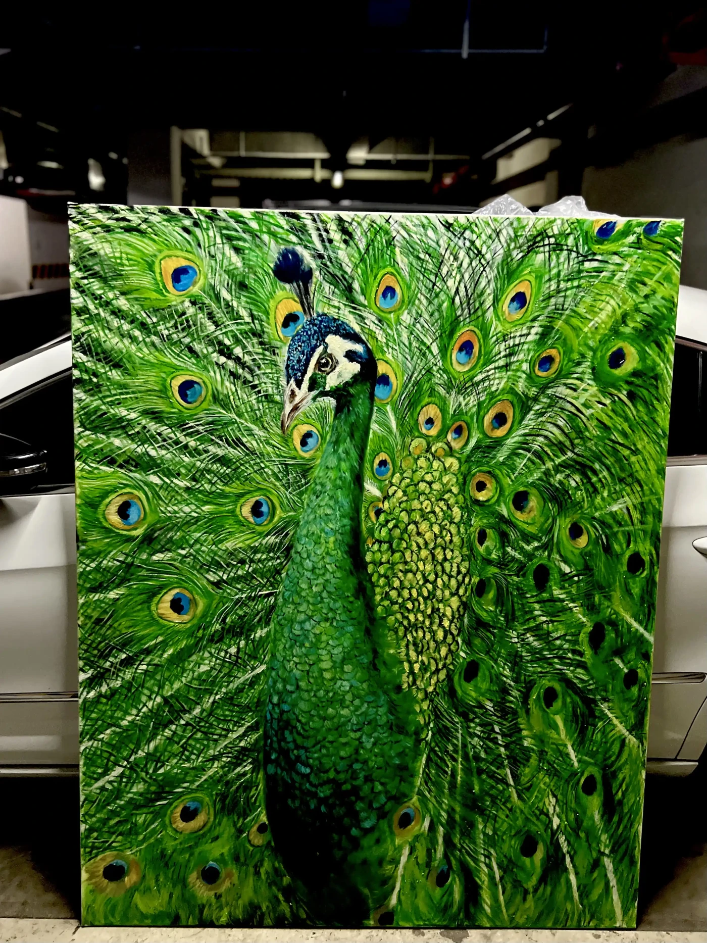 Green Peacock