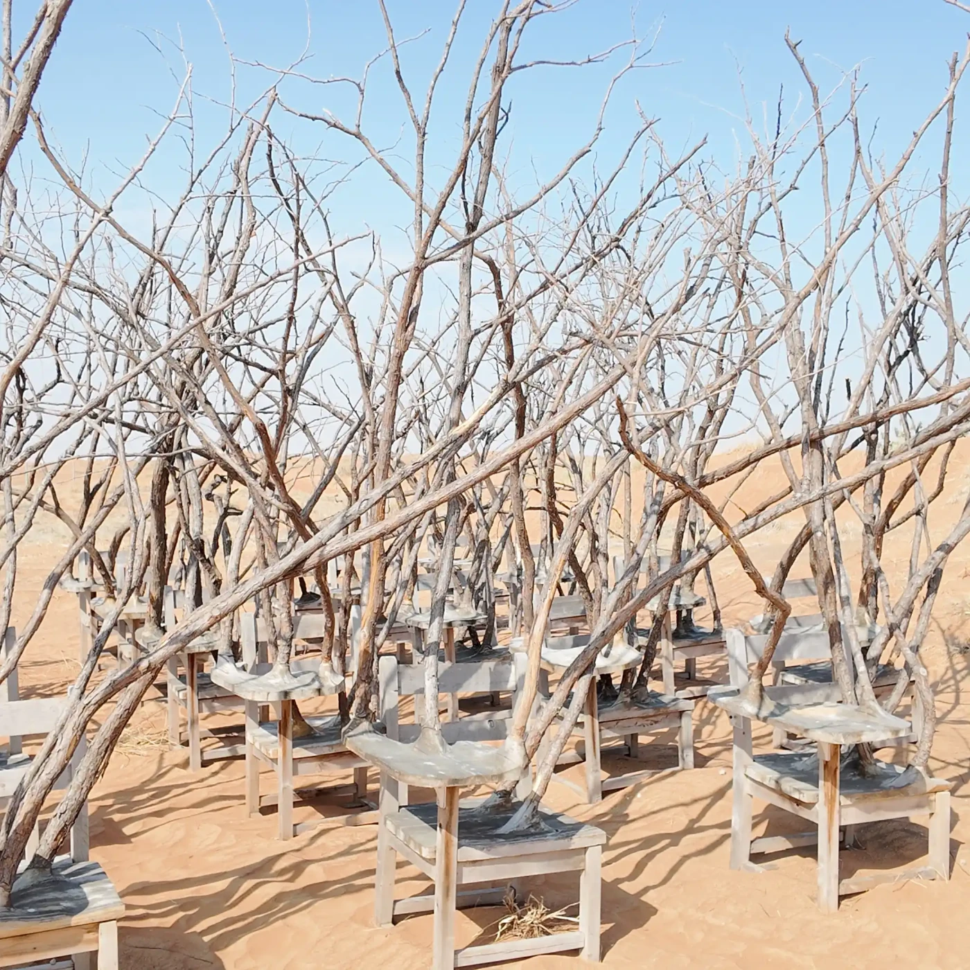 Featured image of Desert Classroom of Nature