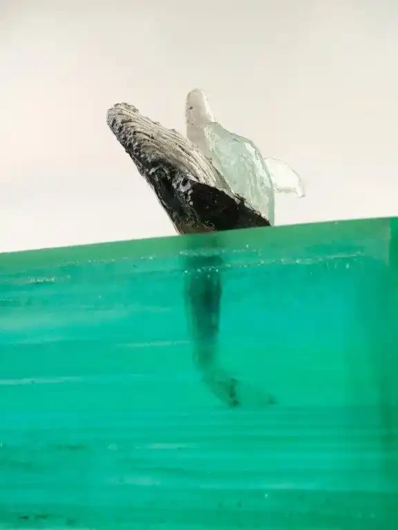 Nature's Cry: Beneath the Sea