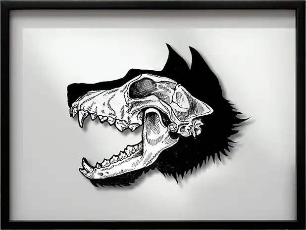 Alpha