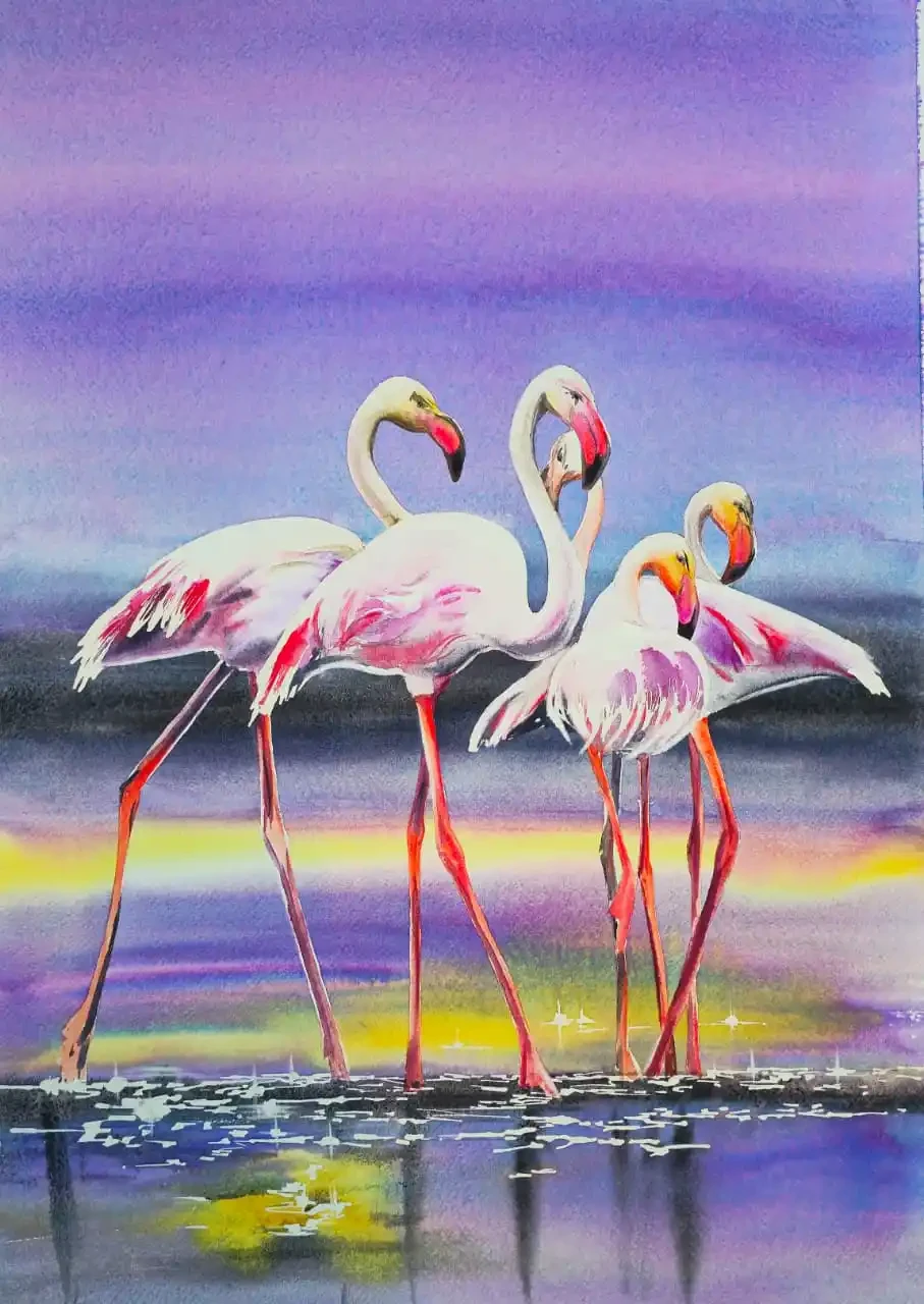 Featured image of Flamingos