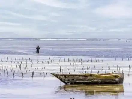 Low Tide