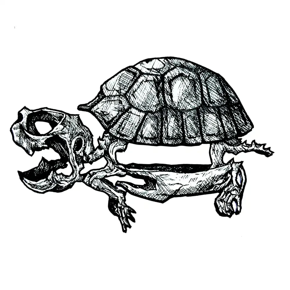Steady Racer