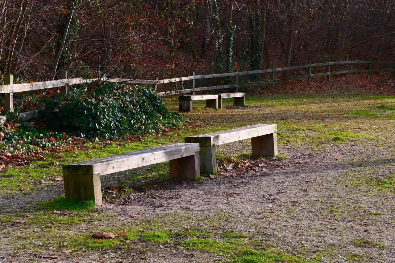 Featured image of Benches That Remember
