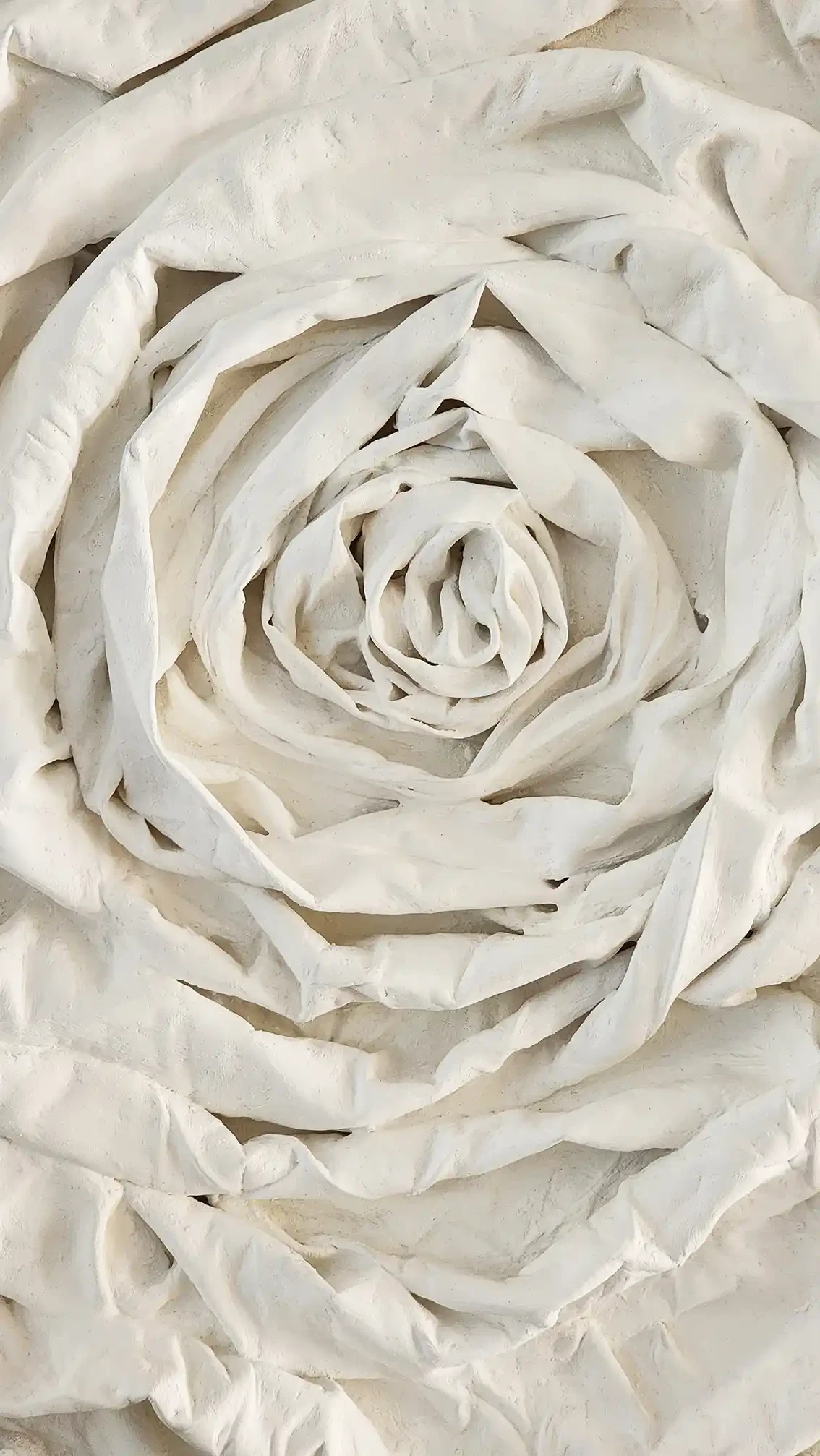 Petals of Stillness - Artwork