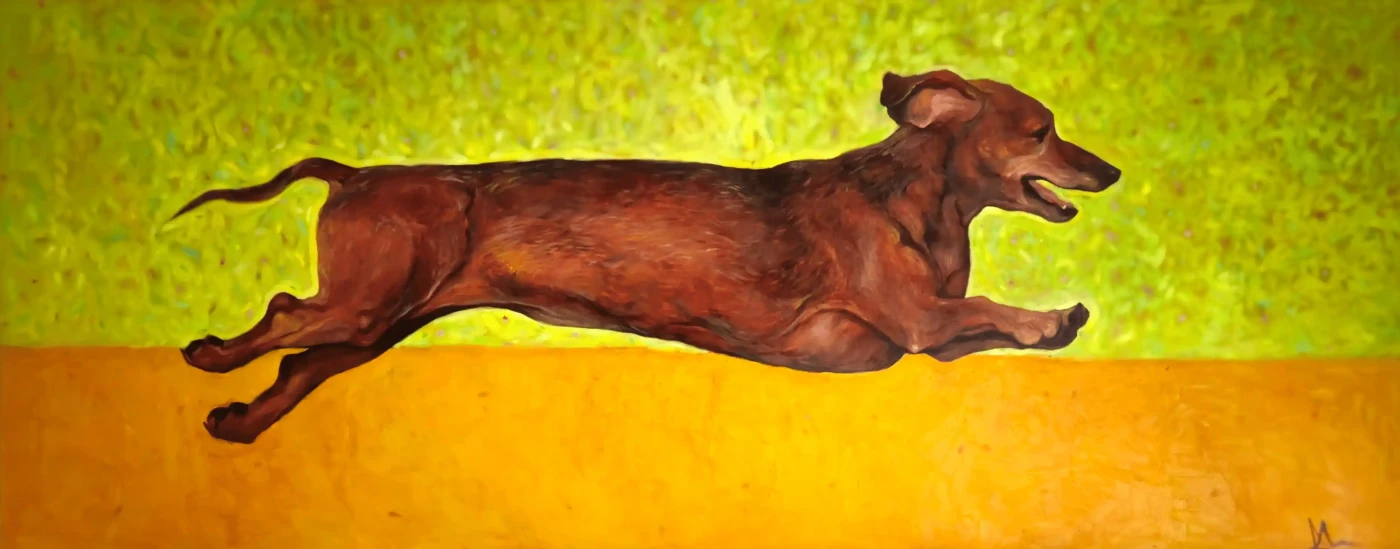 Featured image of Running Daschund